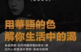 麻豆传媒丑：揭秘背后的故事与真实面貌