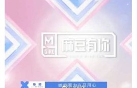 麻豆视传媒公司：引领数字内容创作与传播的新潮流