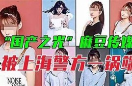 麻豆传媒免费观看在线版：畅享高质量视频内容，轻松观看最新影视