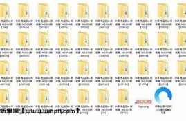 猫咪网盘抖阴下载密码分享，轻松获取精彩资源