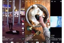 探索抖阴类运用：热门社交平台推荐与使用技巧