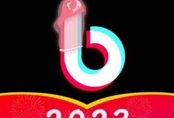 「抖阴app破解版1.87下载 - 提供安全稳定的资源分享」
