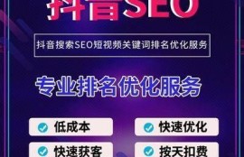 抖音优化版2.01：提升短视频流量与曝光的终极指南