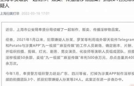 麻豆传媒：新时代内容创作与分享平台探析