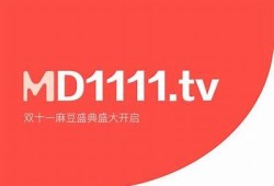 麻豆传媒画映在线观看地址及观看指南！