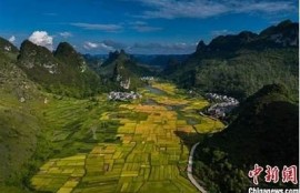 麻豆蜜桃果冻传媒二区：探索最新潮流与时尚的完美融合