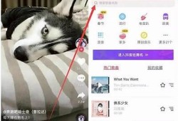 如何在抖音上固定拍摄技巧，提高视频质量与观看率的方法