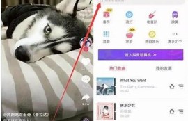 如何在抖音上固定拍摄技巧，提高视频质量与观看率的方法