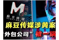 麻豆壁咚传媒：探秘新兴视频平台的盈利模式与市场前景