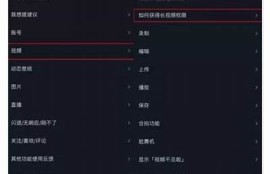 抖音若提：如何利用短视频平台提升个人影响力与品牌知名度