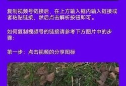 抖阴视频下载教程：轻松获取mp4格式，尽享精彩内容！