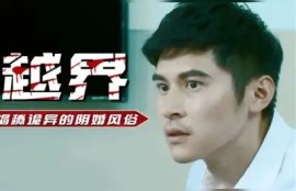 邵先森博客揭秘：抖阴猫咪背后的趣味与秘密