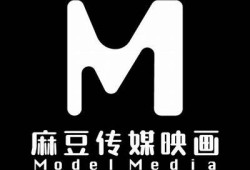 麻豆印象传媒：助力品牌推广与市场营销的必备利器
