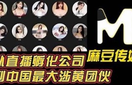 正宗麻豆传媒破解教程—轻松获取优质内容的秘密技巧