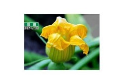 快猫抖阴破解版下载：畅享影视新体验，安全又流畅