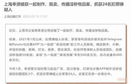 麻豆传媒刘玥最新作品解析：演艺生涯与个人魅力