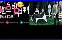 探索麻豆天美传媒在京东的产品与创新体验