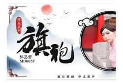 艾速麻豆冻果传媒：引领新媒体时代的创新之路