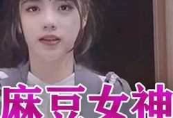 揭秘麻豆传媒销售业绩：2023年业绩增长调查与市场前景