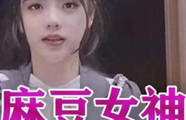 麻豆传媒：探索P站文化与创作背后的故事