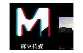 麻豆传媒映画APP破解版免费下载-安全无病毒的最新版本分享