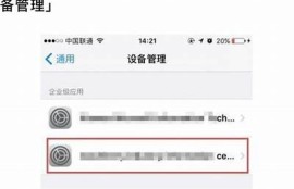 详细教程：如何在苹果设备上下载抖阴APP
