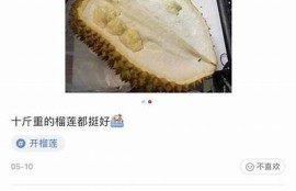 探索麻豆映像传媒网链：视频创作与分享的新平台