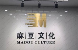 麻豆传媒公司简介：行业地位、影视作品及未来发展方向调查