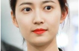 麻豆MD传媒宁洋子：深入揭秘其成功背后的故事与魅力