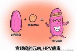 如何通过不同方法达成HPV转阴？抖音热议视频揭秘