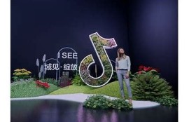2023年热门抖音相似软件推荐：短视频和社交新选择