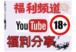 老司机推荐：抖阴破解版下载及使用详解