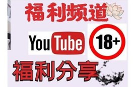 老司机推荐：抖阴破解版下载及使用详解