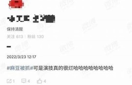 女优麻豆传媒创作了多少部经典影片？揭秘其背后故事！