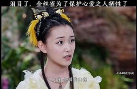 抖音TV看片：畅享热门视频推荐与观看技巧