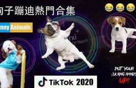 抖音新宠：抖阴小伙的搞笑日常大揭秘，不容错过的精彩时刻