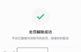 抖阴注册失败？解决方法与常见困难解析指南