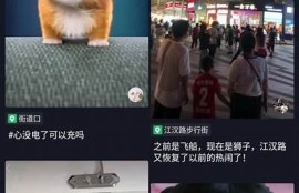 2023最新抖音视频破解版下载，畅享无限精彩内容！