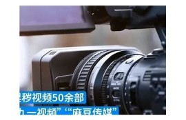 如何在麻豆传媒网站上免费观看高清影视资源？