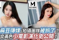 麻豆网在线观看：热门传媒映画推荐与精彩解析
