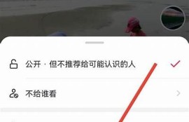 抖阴安全性调查：用户隐私保护及使用风险详细解读