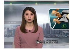 麻豆传媒涉嫌报复女业主，深度揭晓事件背后的真相与影响