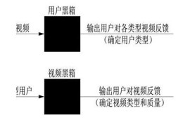 抖阴与抖音解析：平台特点与用户体验大对比