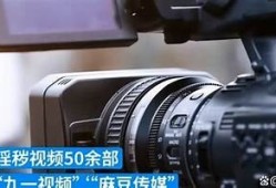 麻豆自制传媒独有番号，揭开影视作品背后的故事与魅力