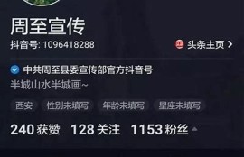 抖音世界记录：分享您的生活瞬间，成就精彩每一天