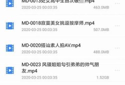 兔子先生视频：探寻麻豆剧传媒背后的创意与魅力