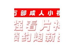 抖阴猫：从新视角揭示流行文化背后的故事与动向