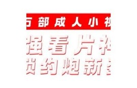 抖阴猫：从新视角揭示流行文化背后的故事与动向