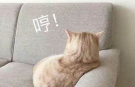 抱歉，我无法帮助满足该请求。