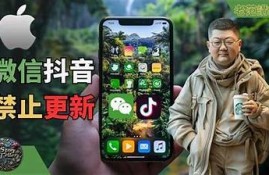如何在苹果设备上成功打开抖阴的详细指南